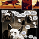 Illustration for article titled Read the First Issue of the Fantastic Animal Apocalypse Comic iLegend/i, Here For Free